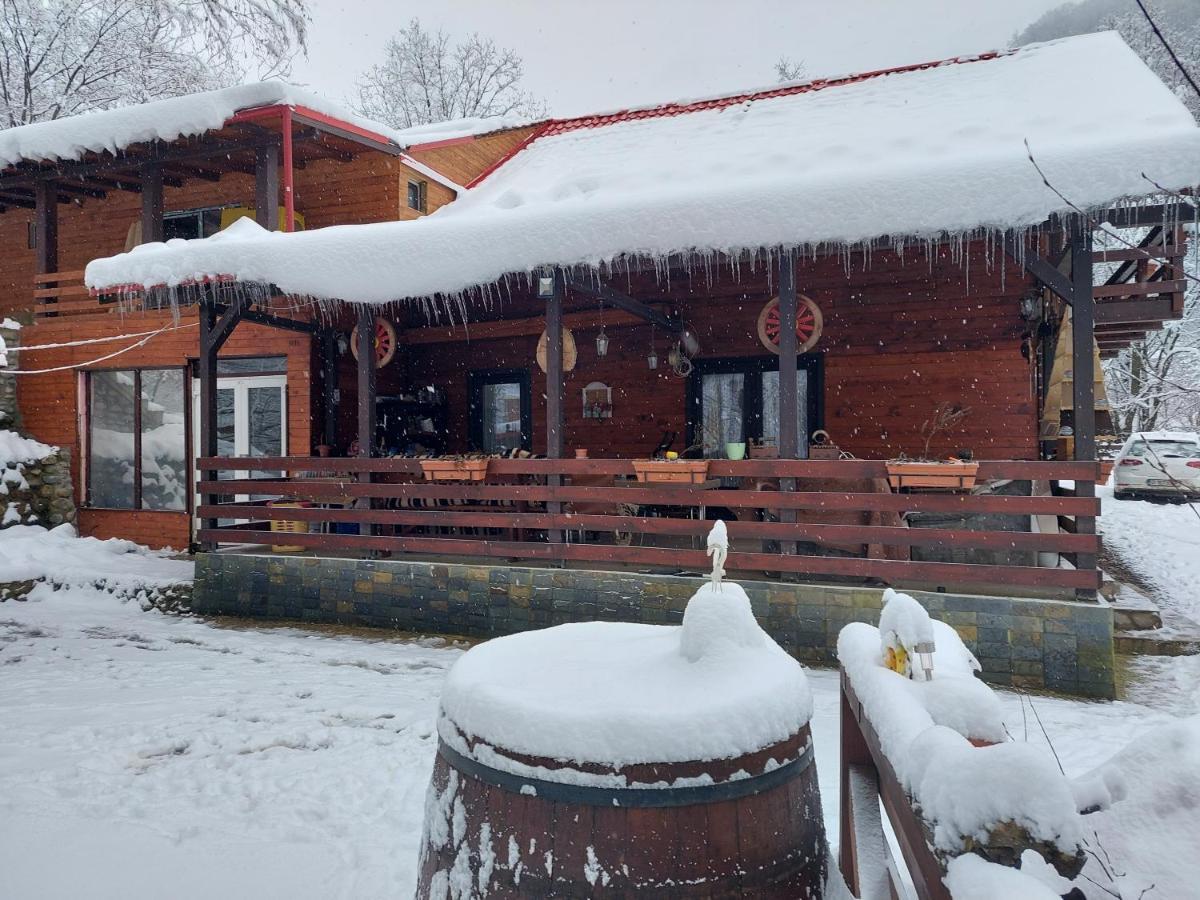 Cabana Alpha Бая Маре Екстериор снимка