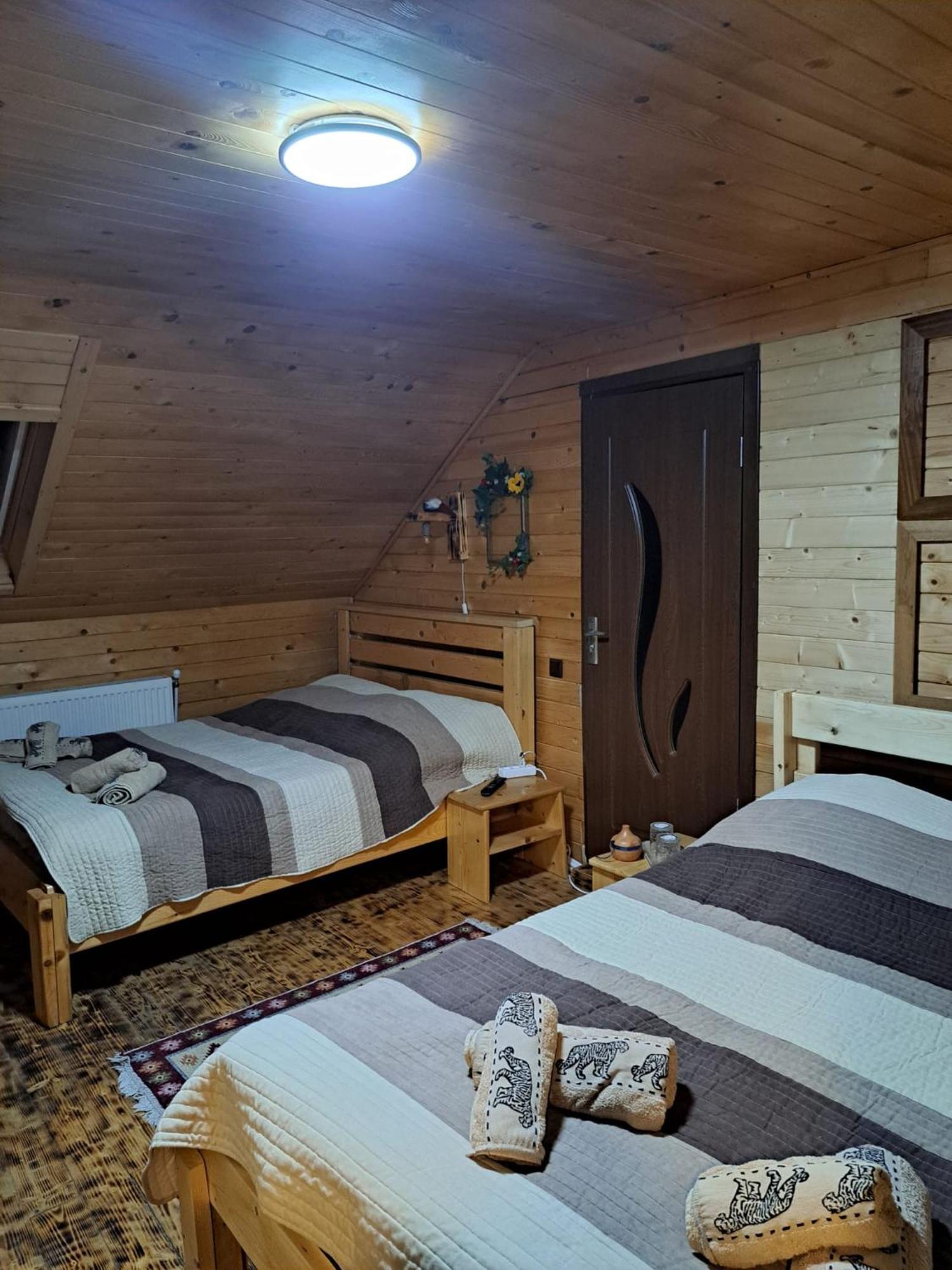 Cabana Alpha Бая Маре Екстериор снимка